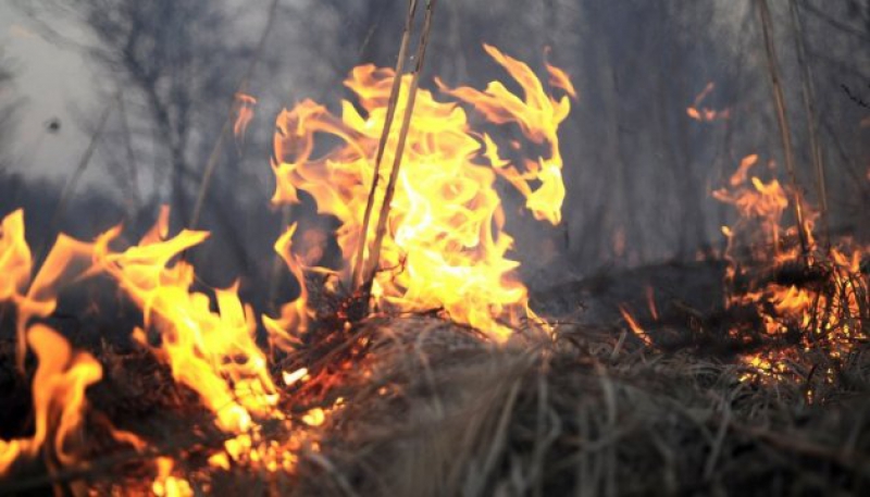 За день на Тернопільщині -  7 пожеж в екосистемах