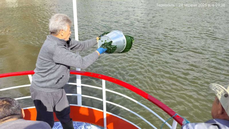 Тернопільський став очищують мікроводоростями