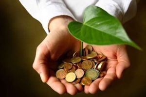 Понад 37 млн грн екоподатку – внесок бізнесу Тернопільщини у збереження довкілля