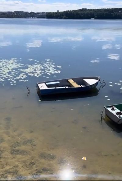 Багаторічна робота міської ради по очистці Тернопільського ставу дала результати: немає водоростей та смороду