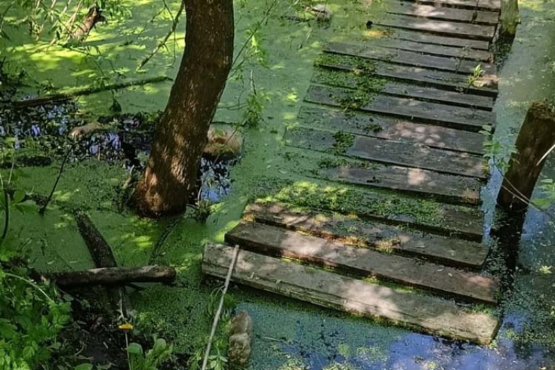 У Тернопільській області у результаті нещасного випадку загинула жінка
