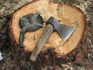 На Тернопільщині чоловіка вбило деревом