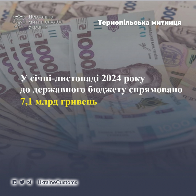 Тернопільська митниця: надходження до держбюджету перетнули рубіж у 7 млрд грн