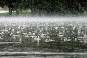 Дощ і стічна система перетворили дорогу довкола Тернопільського «білого дому» у «озерце» (відеофакт)