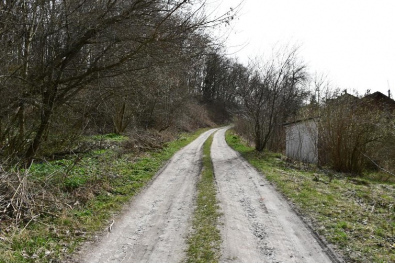 Неподалік Тернополя 27-річний чоловік зґвалтував та пограбував жінку