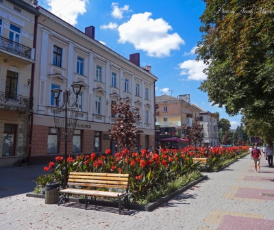У центрі Тернополя висаджують літні квітники