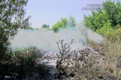 На Тернопільщині жодного дня без пожеж