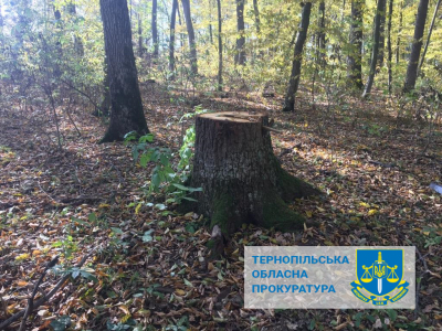 На Тернопільщині від державного підприємства вимагають сплатити 265 000 грн штрафу