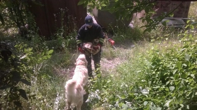 На Тернопільщині рятувальники визволяли собаку, яка потрапила до котловану