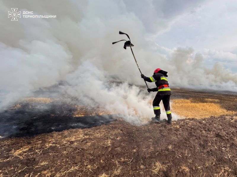 9 пожеж за добу на Тернопільщині: горіли суха трава, будинки, гараж і трансформаторна підстанція