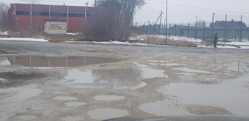 «Можна зариблювати»: на Тернопільщині дорога перетворилася на водойму (фото)