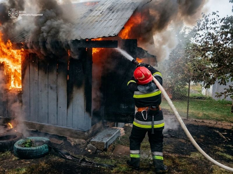 За добу на Тернопільщині ліквідували 10 пожеж, шість із них — в екосистемах