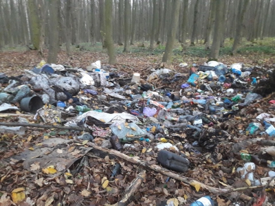 Жителі Тернопільщини перетворили ліс на смітник (фотофакт)