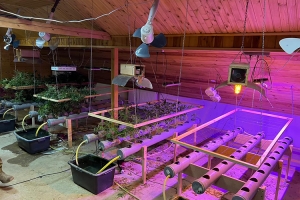 У Тернопільській області викрили підпільну лабораторію з вирощування та переробки нарковмісних рослин