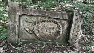 У лісі на Тернопільщині до дерев похилилися хрести із закинутого кладовища