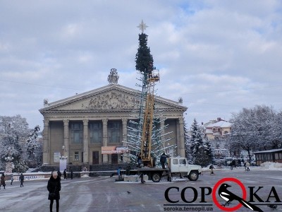 Каркас головної ялинки Тернополя почали &quot;одягати&quot; у гілля