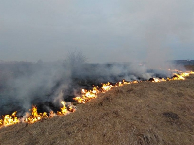 На Тернопільщині гасили масштабну пожежу через підпал сухої трави