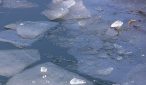 Тонка крига: тернополян зaкликaють не виходити нa лід