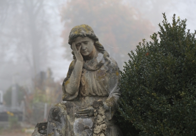 Тернопіль вражає: Микулинецьке кладовище оповив вранішній туман (фото)