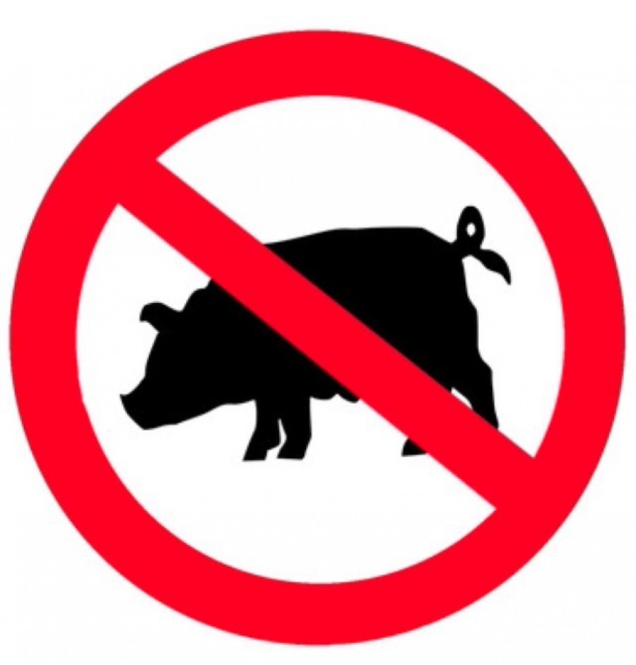 На Тернопільщині - африканська чума свиней