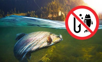 Від початку нерестової заборони на Тернопільщині притягнуто до відповідальності 18 осіб