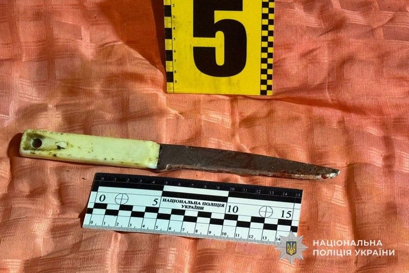 На Тернопільщині п'яне застілля закінчилося ножовим пораненням