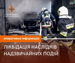 Під час пожежі на Тернопільщині вщент згоріла іномарка