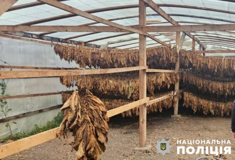 На Тернопільщині повідомии про підозру організатору злочинної групи та трьом його спільникам