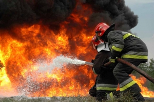 На Чортківщині від вогню рятували лісопосадку