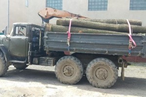 На Тернопільщині правоохоронці затримали вантажівку з краденими дубами