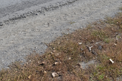 Знайшли винного у неякісному ремонті дороги в одному із сіл Тернопільського району