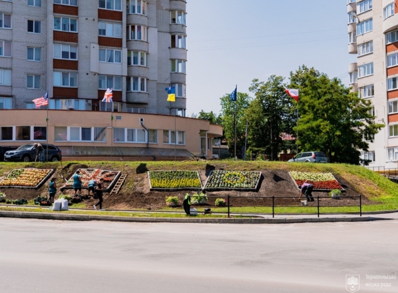 У Тернополі облаштували квітники у кольорах прапорів ЄС, США, Польщі та Великобританії