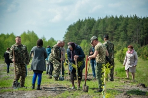 На Тернопільщині з&#039;явилася ще одна Алея пам&#039;яті Героїв АТО