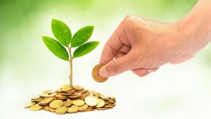 Понад 45,2 млн грн екоподатку сплатив бізнес Тернопільщини