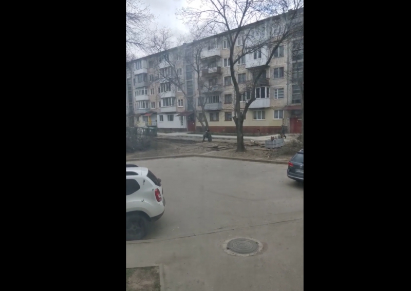 У Тернополі невідомі зрізають дерева (відео)
