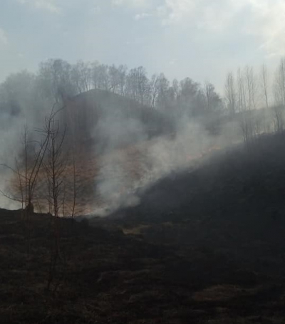 Спалені дерева та густий дим: на Тернопільщині горіла Графтова гора (фото)