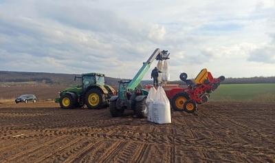 На Тернопільщині збільшать площу посіву кукурудзи