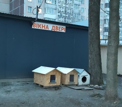 У Тернополі встановили будки для бездомних собак (фотофакт)