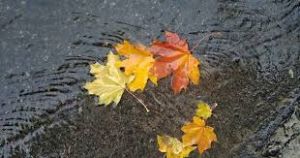 Якою буде погода на Тернопільщині цими вихідними