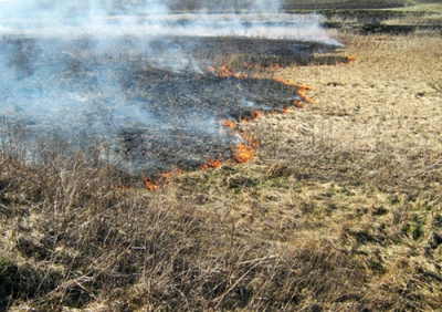 Пожежа неподалік Тернополя охопила 4-га поля