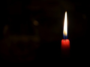 На Тернопільщині загинула жінка через кабана