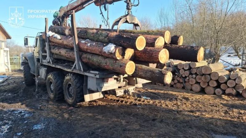 На Тернопільщині на незаконній порубці на майже 5 млн грн викрито посадовців заповідника «Медобори» та їх спільників
