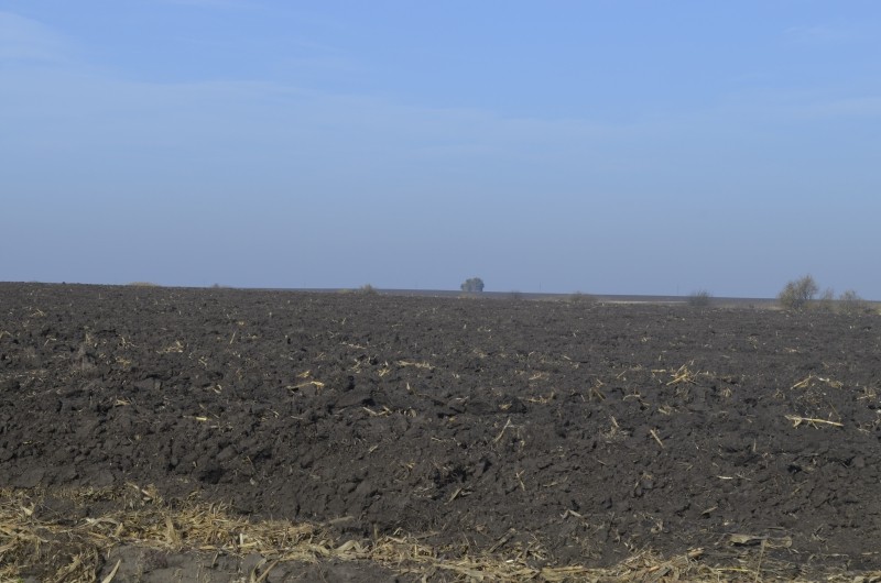 На Тернопільщині секретар сільради підробила витяг рішення сесії та привласнила понад 1 га землі