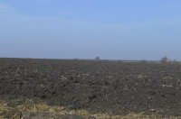 На Тернопільщині секретар сільради підробила витяг рішення сесії та привласнила понад 1 га землі