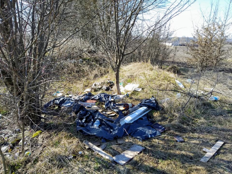 На Тернопільщині рибалки прибрали прибережну зону (фото)