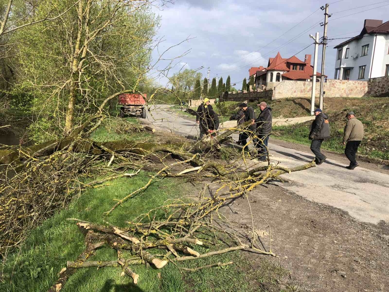 У громаді біля Тернополя дерево впало на дорогу та заблокувало рух транспорту