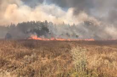 У Тернопільській області спалахнуло дві пожежі