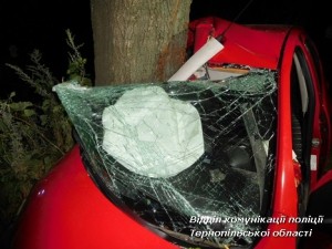 На Тенопільщині знову смертельна ДТП: 17-річний юнак в&#039;їхав у дерево