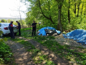 Які правопорушення зафіксували працівники муніципальної інспекції на території Тернопільської громади?