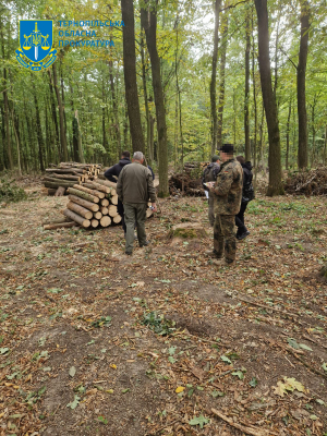 Незаконно вирубав майже 70 дерев: на Тернопільщині судитимуть лісника